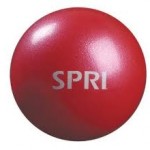SPRI Professional Xercise Ball